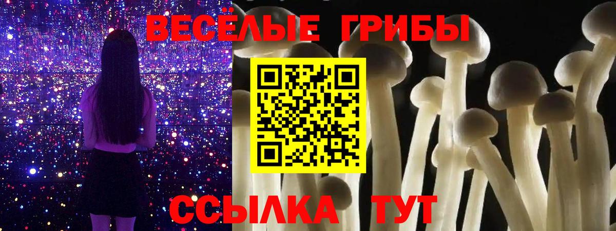 Псилоцибиновые грибы Magic Shrooms Егорьевск
