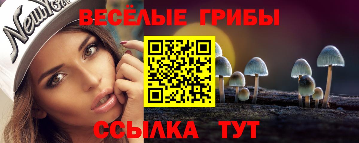 Егорьевск  Псилоцибиновые грибы Cubensis  Вход с VPN 